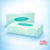 Facial Tissues Rectangular Box 100 - Hotel Guest Supplies - 2 Ply