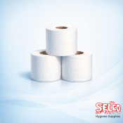 Toilet Roll Big Sheet Everyday Soft Tissue BIG Rolls - Now Free Case